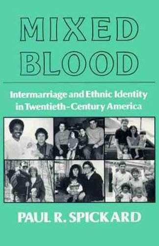 Cover image for Mixed Blood: Intermarriage and Ethnic Identity in Twentieth Century America