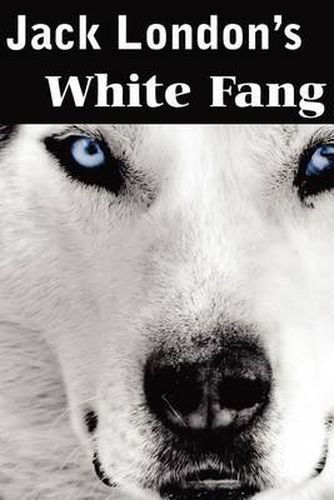 Cover image for White Fang