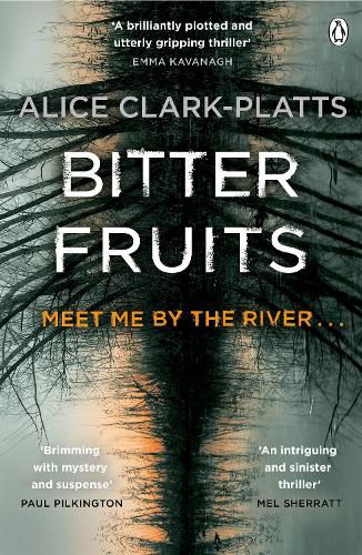 Cover image for Bitter Fruits: DI Erica Martin Book 1