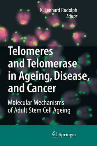 Cover image for Telomeres and Telomerase in Aging, Disease, and Cancer: Molecular Mechanisms of Adult Stem Cell Ageing