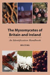 Cover image for The Myxomycetes of Britain and Ireland 2024