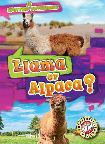 Llama or Alpaca