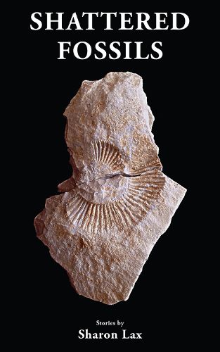 Cover image for Shattered Fossils: Volume 179