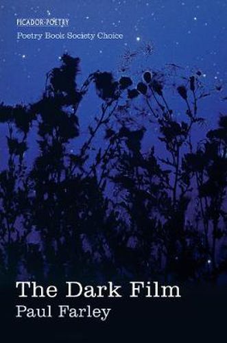 Cover image for The Dark Film