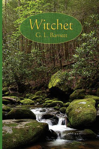 Cover image for Witchet