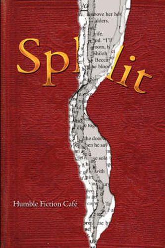 Cover image for Split