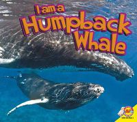 Cover image for Humpback Whale