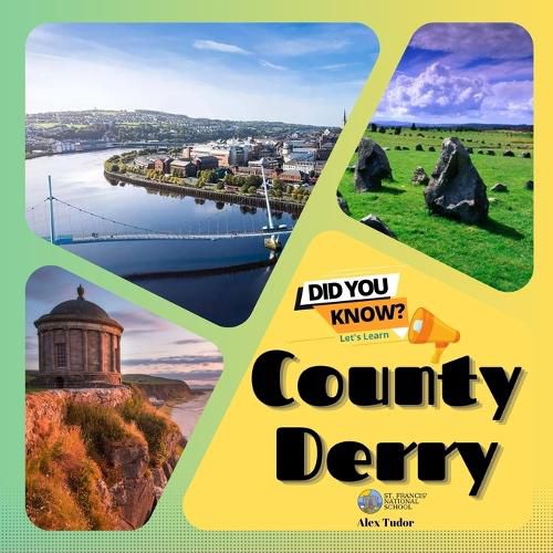 Cover image for County Derry