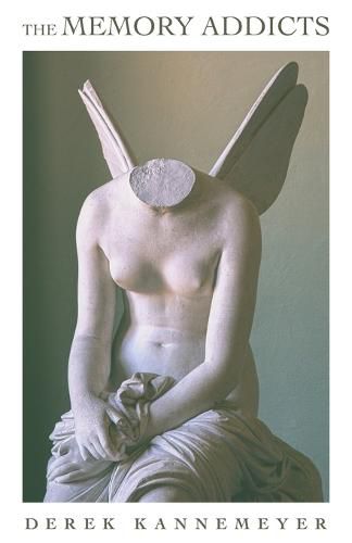 Cover image for The Memory Addicts