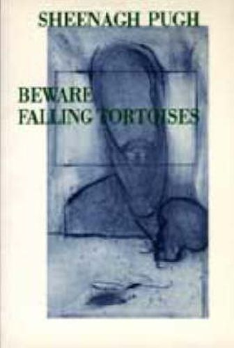 Cover image for Beware Falling Tortoises
