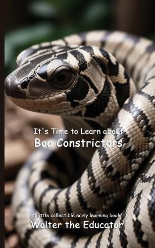 Cover image for It's Time to Learn about Boa Constrictors
