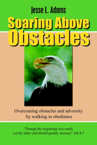 Cover image for Soaring Above Obstacles