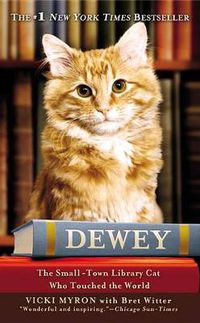 Cover image for Dewey (Large Print Edition)