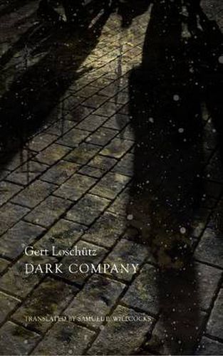 Cover image for Dark Company