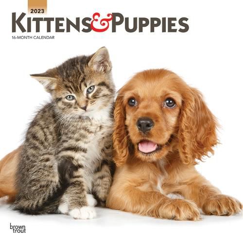 Cover image for Kittens & Puppies 2023 Square Foil