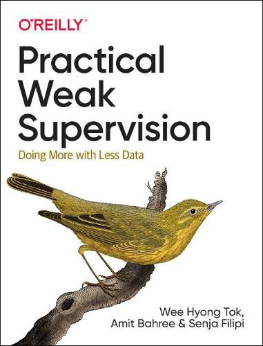 Cover image for Practical Weak Supervision: Doing More with Less Data