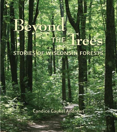 Cover image for Beyond the Trees: Stories of Wisconsin Forests
