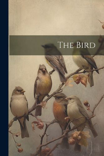 Cover image for The Bird