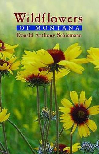 Cover image for Wildflowers of Montana