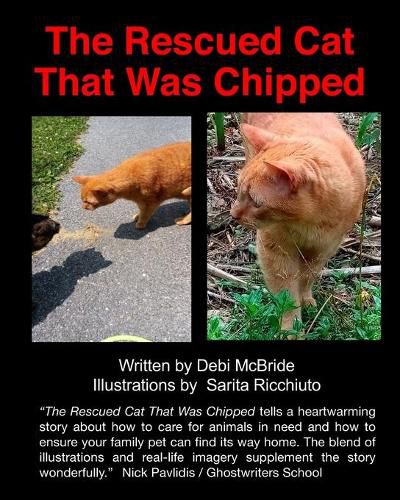 Cover image for The Rescued Cat That Was Chipped.