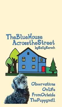 Cover image for The Blue House Across the Street