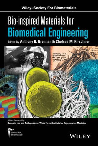 Cover image for Bio-inspired Materials for Biomedical Engineering