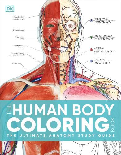 Cover image for The Human Body Coloring Book