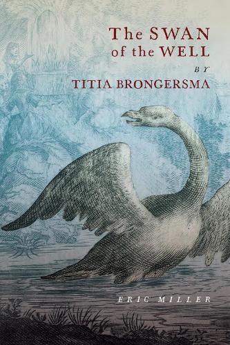 Cover image for The Swan of the Well by Titia Brongersma