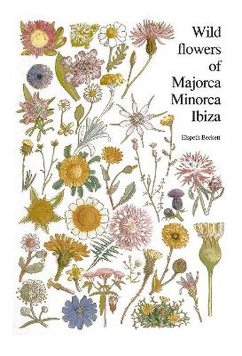 Cover image for Wild Flowers of Majorca, Minorca and Ibiza: With keys to the flora of the Balearic Islands