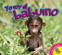 Cover image for El Babuino