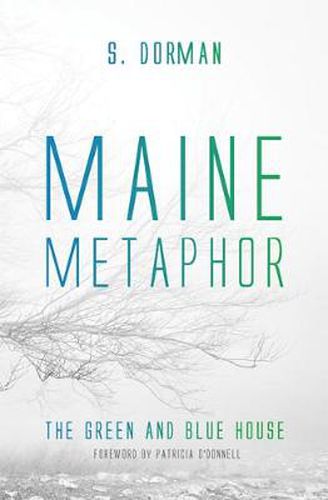 Cover image for Maine Metaphor: The Green and Blue House