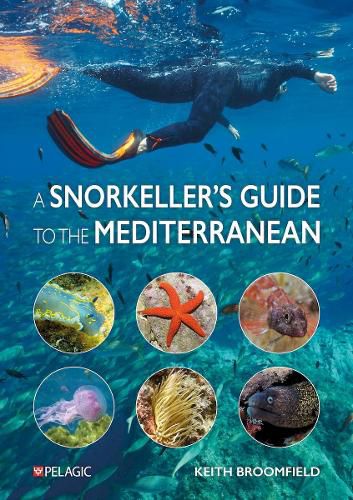 Cover image for A Snorkeller's Guide to the Mediterranean