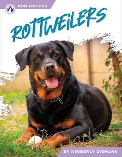 Dog Breeds: Rottweilers