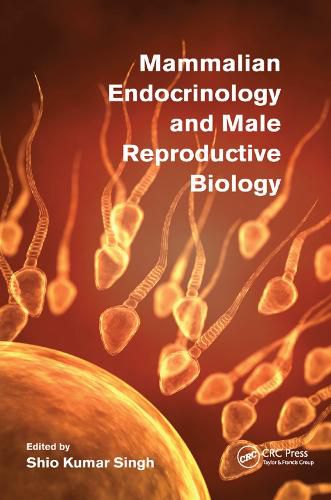 Cover image for Mammalian Endocrinology and Male Reproductive Biology