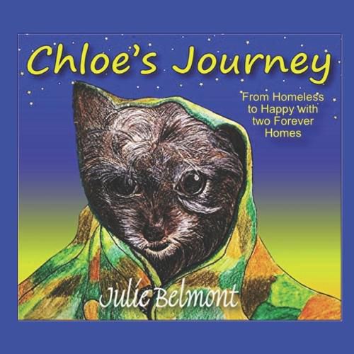 Cover image for Chloe's Journey
