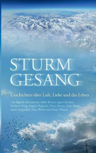 Cover image for Sturmgesang: Geschichten uber Luft, Liebe und das Leben