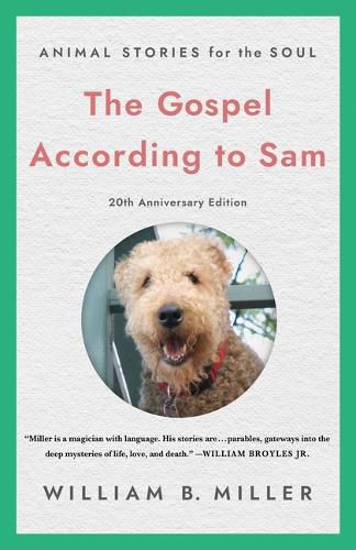 Cover image for The Gospel According to Sam