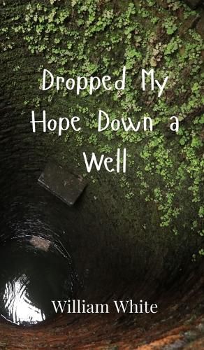 Cover image for Dropped My Hope Down a Well