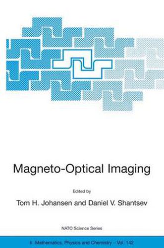 Cover image for Magneto-Optical Imaging