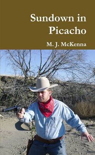 Cover image for Sundown in Picacho