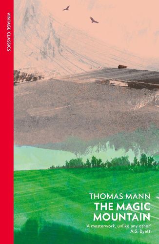 Cover image for The Magic Mountain