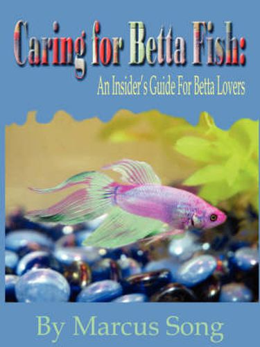 Cover image for Caring For Betta Fish