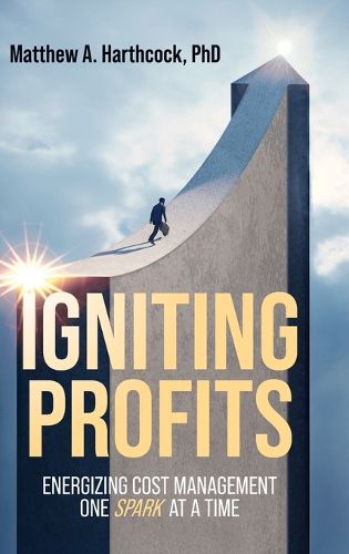 Cover image for Igniting Profits