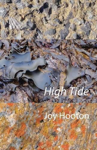 Cover image for High Tide