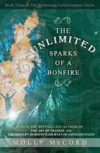 Cover image for The Unlimited Sparks of a Bonfire