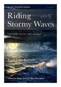 Cover image for Riding Stormy Waves