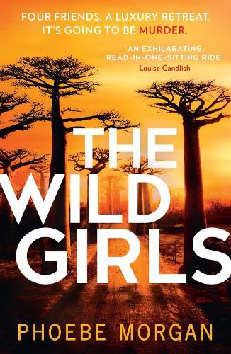 Cover image for The Wild Girls