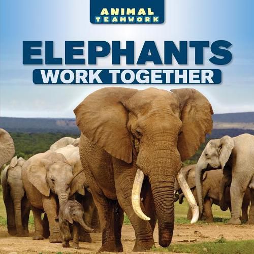 Cover image for Elephants Work Together