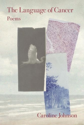 Cover image for The Language of Cancer