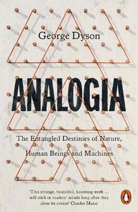 Cover image for Analogia: The Entangled Destinies of Nature, Human Beings and Machines